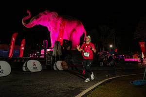 BIB: 
                            <button type="button" onclick="openModal(26534080)" class="btn btn-primary btn-sm float-right btn-popup" data-toggle="modal" data-target=".modal-high-quality">
                        <i class="fas fa-shopping-cart"></i> Add to Cart
                    </button>
                                            <button type="button" onclick="isThisMe(26534080, true)" class="btn btn-success btn-sm float-right btn-popup btn-isme hidden" data-toggle="tooltip" data-placement="bottom" title="นี่คือรูปของคุณใช่ไหม คลิกที่นี่เพื่อเอาเข้าอัลบั้ม">
                        <i class="fas fa-plus"></i> Add to album
                    </button>
                    <button type="button" onclick="isThisMe(26534080, false)" class="btn btn-warning btn-sm float-right btn-popup btn-isnotme hidden">
                        <i class="fas fa-ban"></i> Remove from album
                    </button>